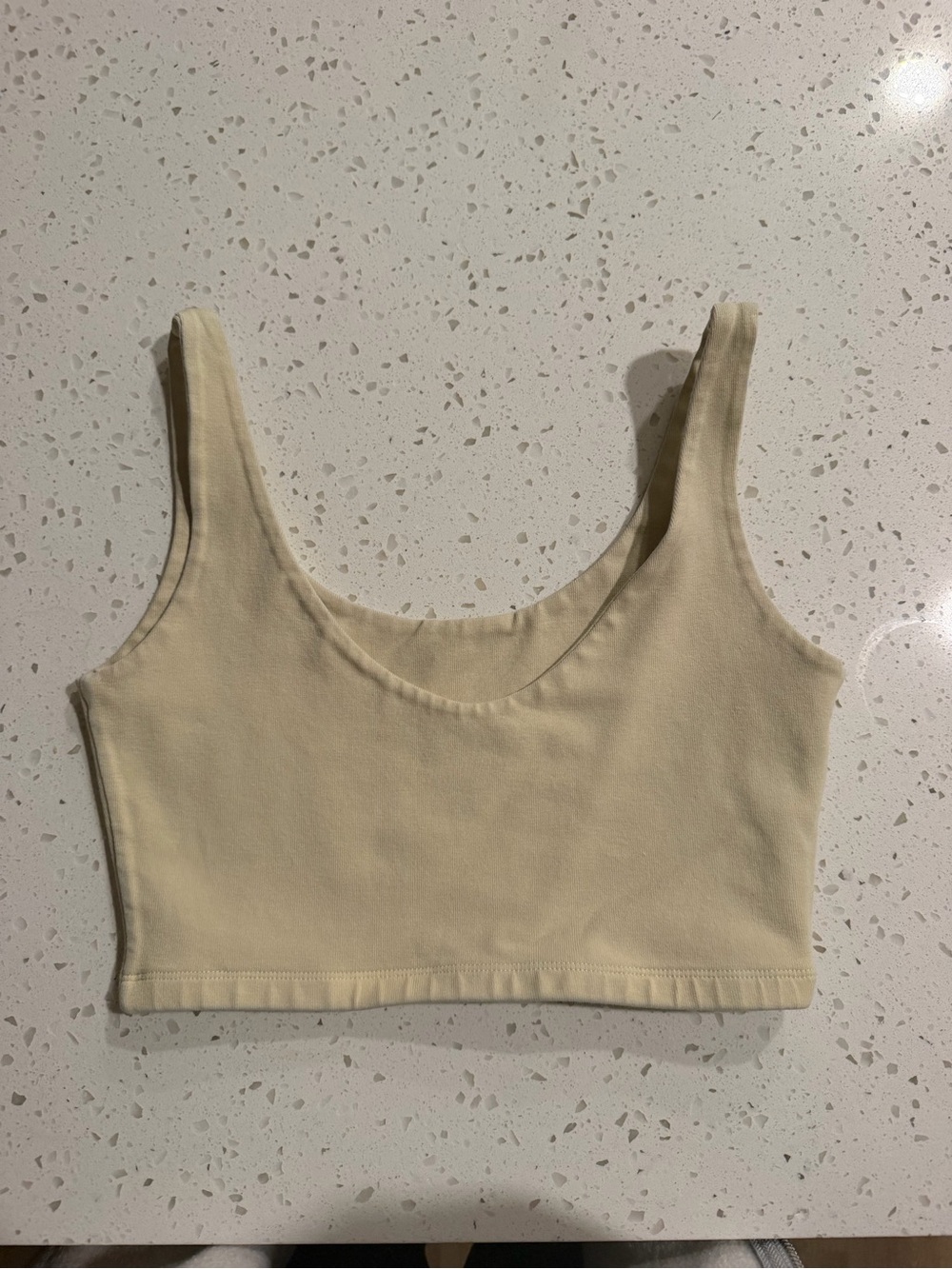 Brandy Melville cropped tank